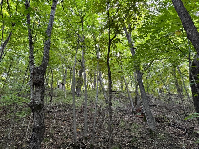 24612 Rock Lake Rd Unit Lot2, Rochert, MN 56578 - photo 41