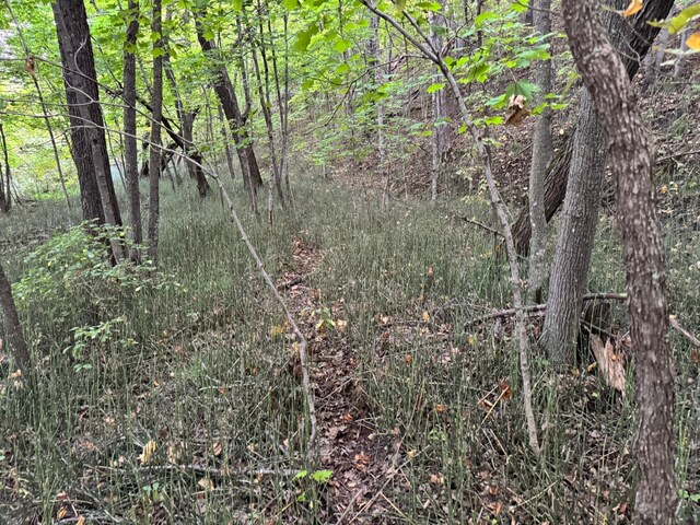 24612 Rock Lake Rd Unit Lot2, Rochert, MN 56578 - photo 42