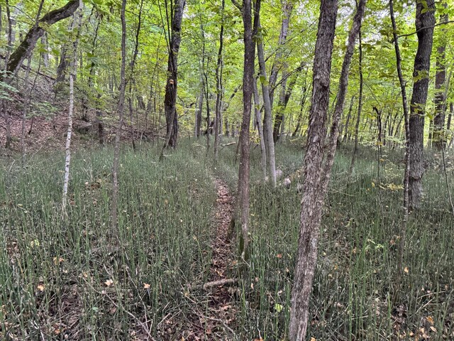 24612 Rock Lake Rd Unit Lot2, Rochert, MN 56578 - photo 43