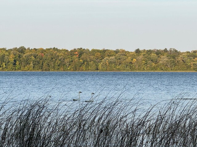 24612 Rock Lake Rd Unit Lot2, Rochert, MN 56578 - photo 47