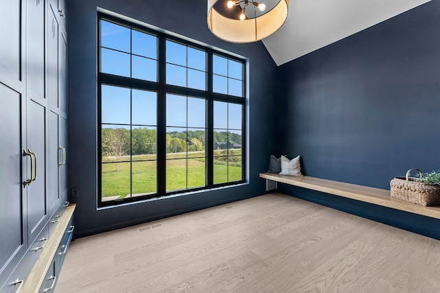 21236 Crescent Curv, Credit River Twp, MN 55044 - spare room with wood finished floors, a wealth of natural light, lofted ceiling, and visible vents