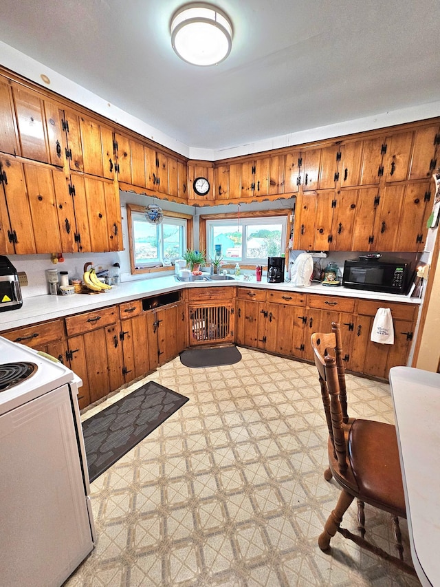 kitchen featuring white electric stove and sink