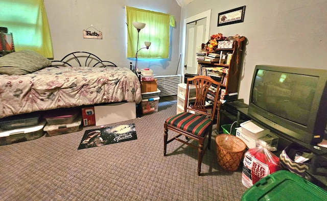 bedroom featuring carpet and a closet