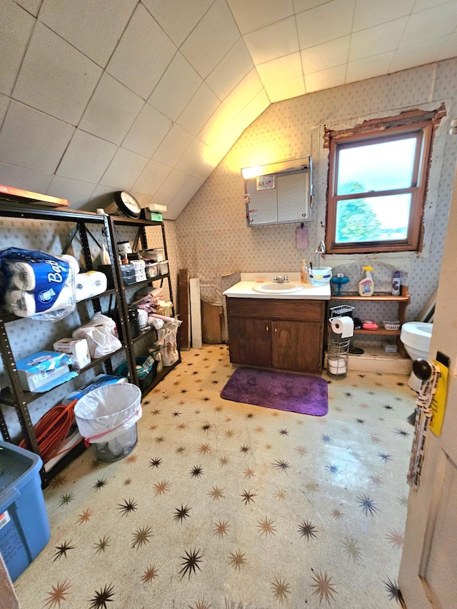 bathroom featuring lofted ceiling and vanity