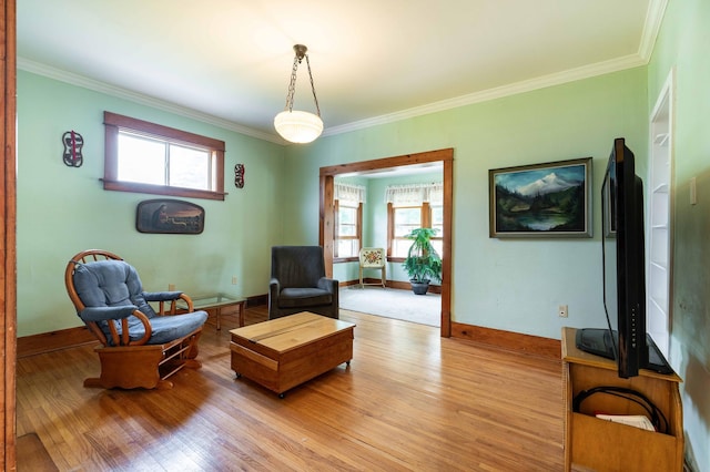 interior space featuring ornamental molding, light hardwood / wood-style floors, and a healthy amount of sunlight