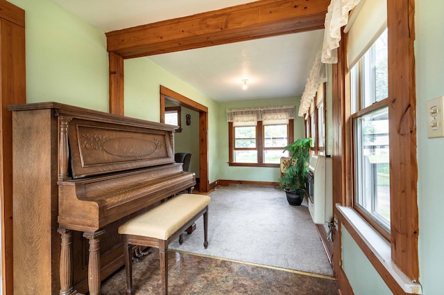 miscellaneous room featuring dark carpet and heating unit