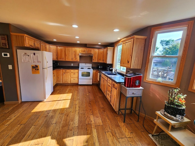 kitchen with light wood-type flooring, white appliances, and sink