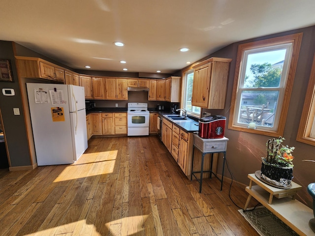 kitchen featuring white appliances, light hardwood / wood-style floors, plenty of natural light, and sink