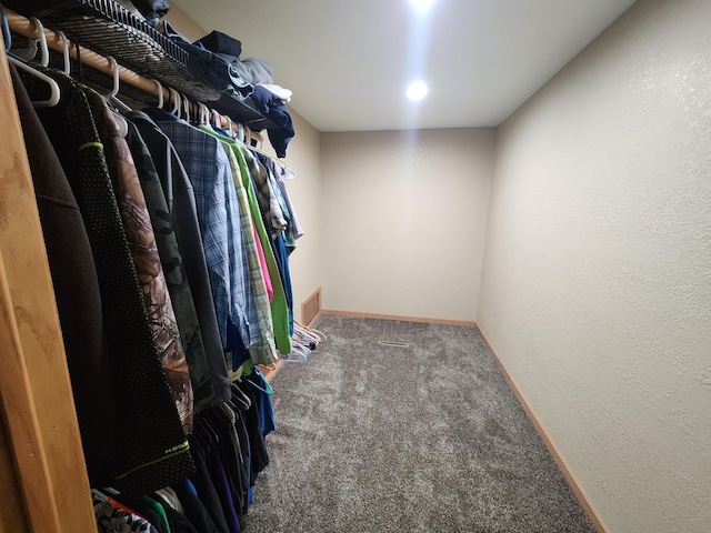 walk in closet featuring carpet floors