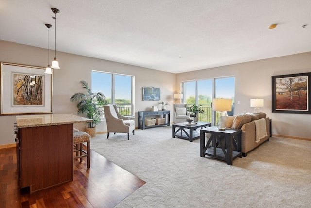 living area featuring wood finished floors, baseboards, and carpet floors