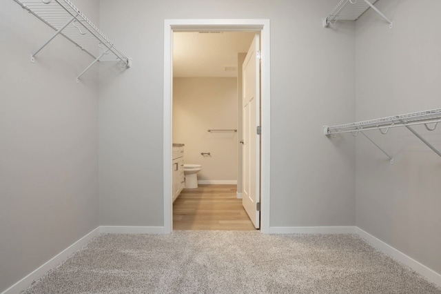 walk in closet with light colored carpet