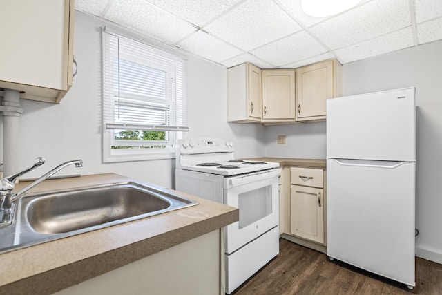 kitchen featuring dark hardwood / wood-style floors, sink, cream cabinetry, a drop ceiling, and white appliances