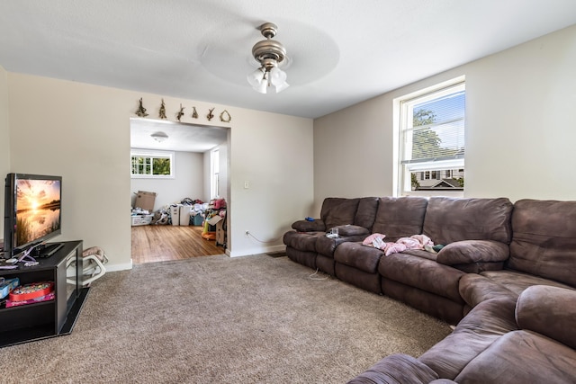 living room with carpet, ceiling fan, and a wealth of natural light