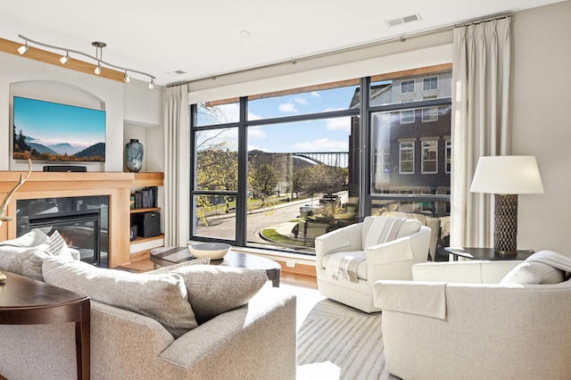 living room with a premium fireplace, rail lighting, and wood-type flooring