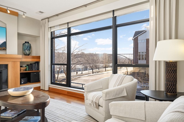 living room featuring wood-type flooring and a wall of windows