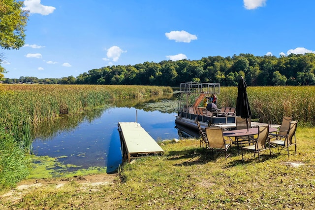 dock area with a water view