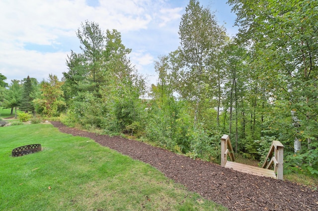 6334 Wilderness Rd Unit 31, Pequot Lakes, MN 56472 - view of yard
