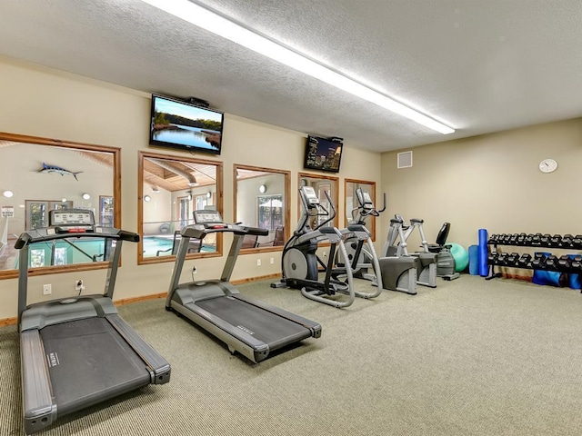 6334 Wilderness Rd Unit 31, Pequot Lakes, MN 56472 - exercise room featuring a textured ceiling, carpet, baseboards, and visible vents
