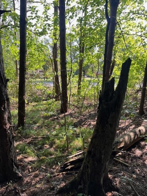 16 County Road B, Spring Valley WI, 54028 land for sale