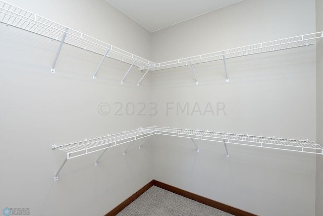 walk in closet with dark colored carpet
