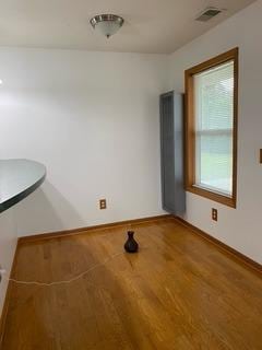 interior space with wood-type flooring