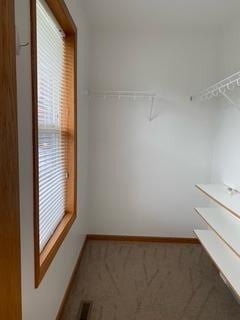 spacious closet with carpet flooring