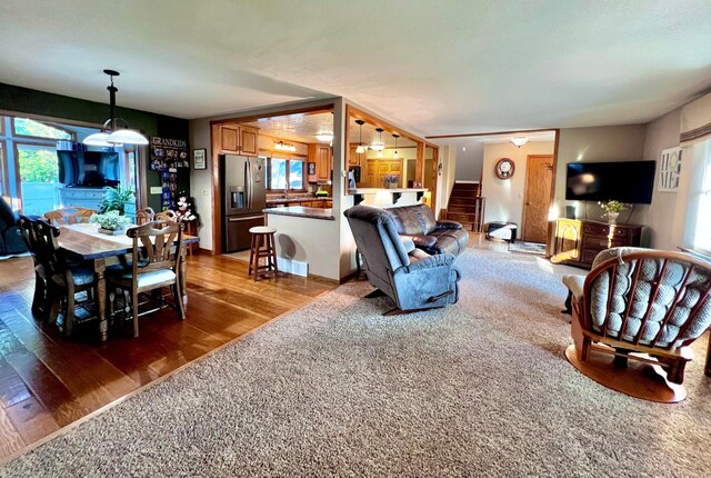 living room featuring plenty of natural light, wood-type flooring, and sink