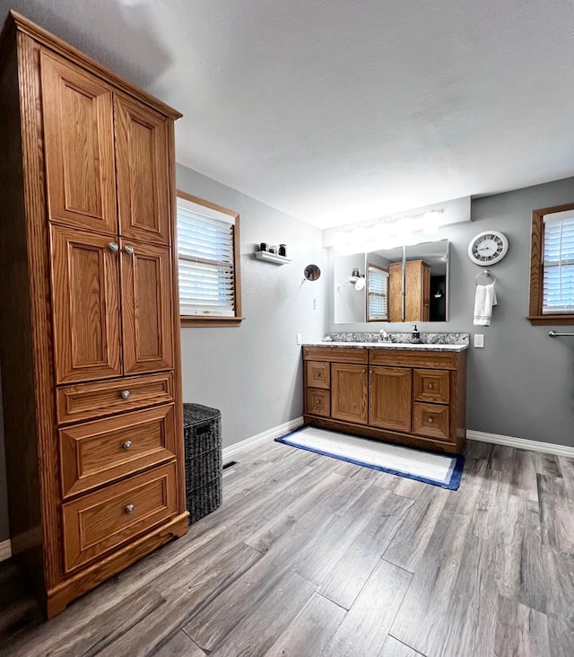 bathroom with hardwood / wood-style floors, vanity, and a wealth of natural light