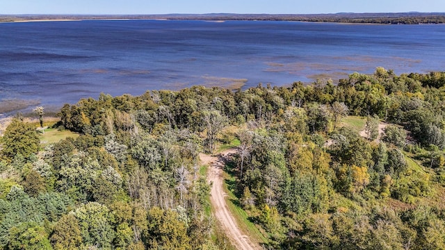 TBDTractA Height Of Land Drive, Height Of Land N Twp, MN 56578