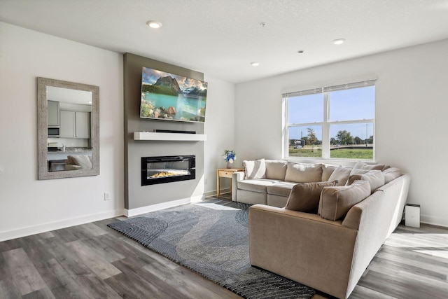 living room with hardwood / wood-style flooring