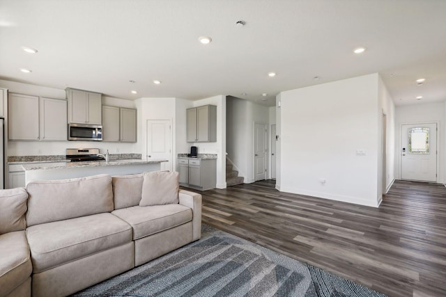 living room with dark hardwood / wood-style floors