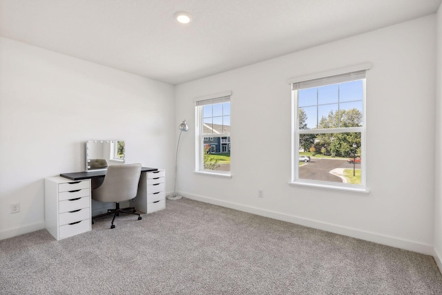 office featuring light colored carpet