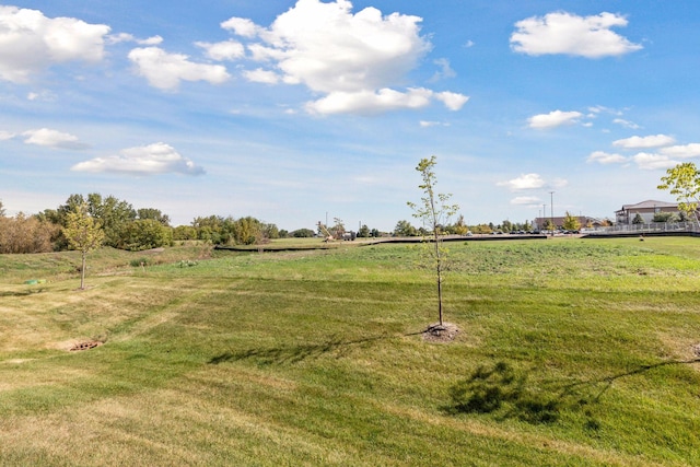 view of yard with a rural view