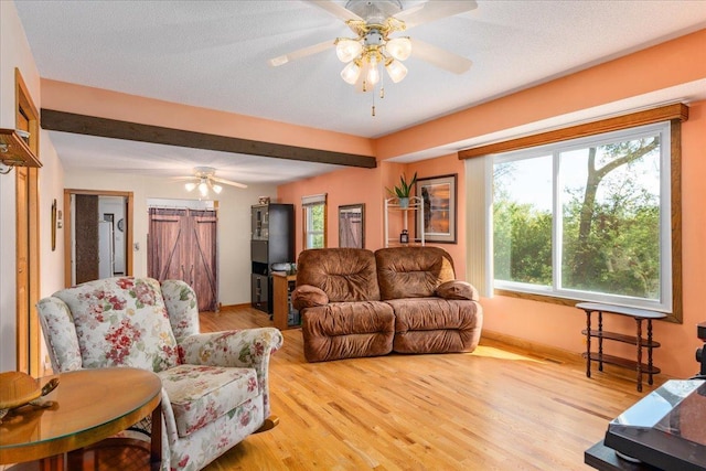 living room featuring ceiling fan, light hardwood / wood-style floors, and a textured ceiling