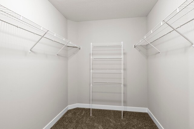 spacious closet with carpet floors