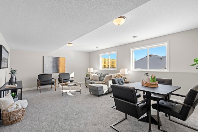 living room with a textured ceiling and light colored carpet