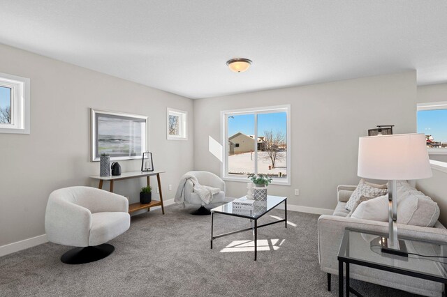 living room with a wealth of natural light and carpet