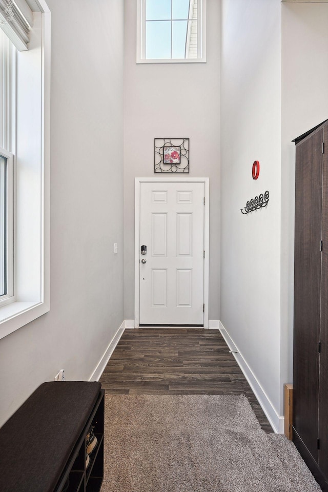 doorway to outside with dark hardwood / wood-style flooring and a towering ceiling