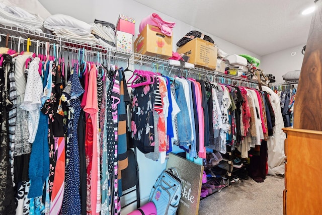 spacious closet with carpet