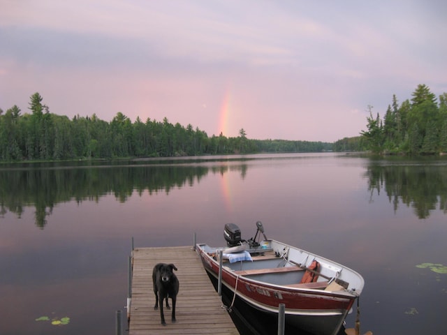 view of dock with a water view