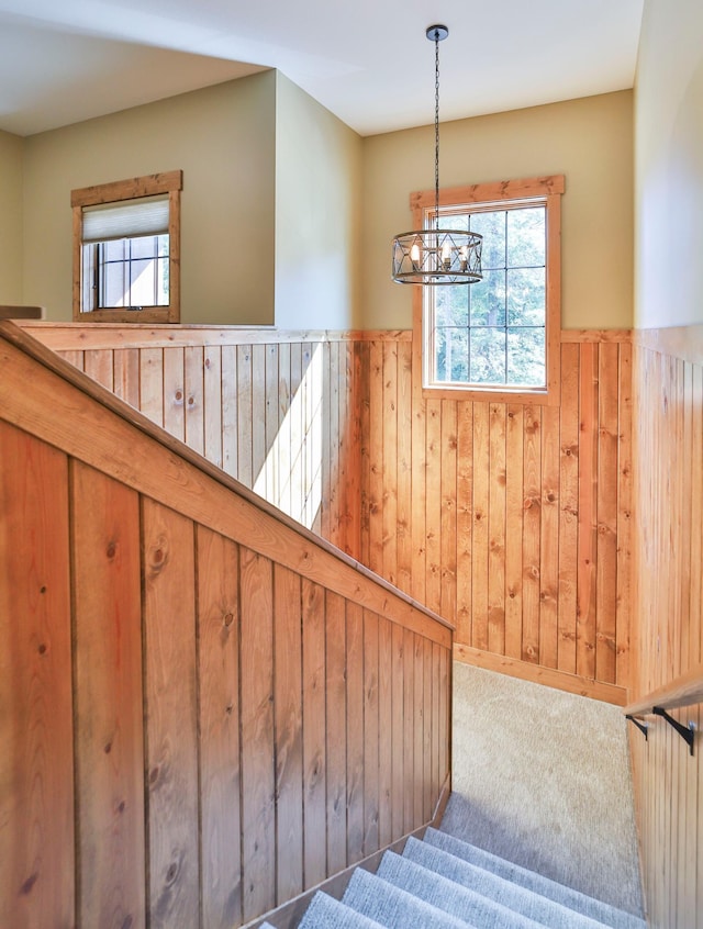 stairs featuring carpet floors, wooden walls, an inviting chandelier, and a healthy amount of sunlight