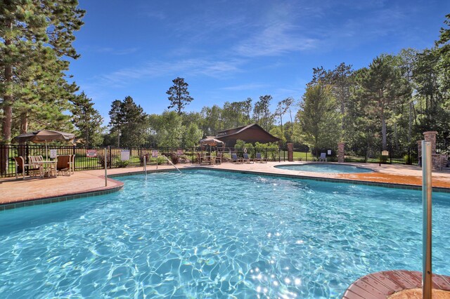 view of pool with a patio area