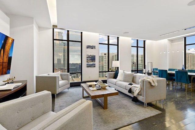 living room featuring a wealth of natural light, dark wood-type flooring, and expansive windows