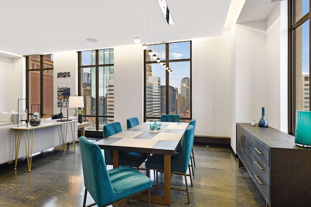 dining space with a healthy amount of sunlight, dark hardwood / wood-style floors, and expansive windows