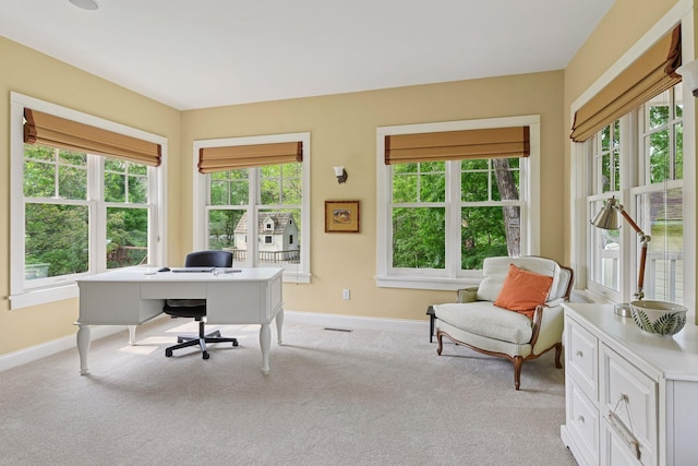 20390 Linwood Rd, Deephaven, MN 55331 - office with light colored carpet
