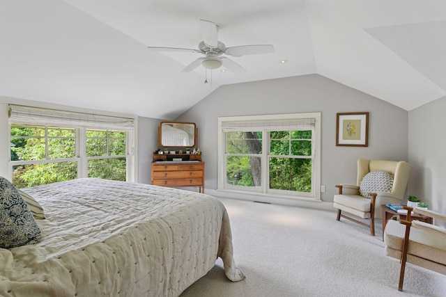 20390 Linwood Rd, Deephaven, MN 55331 - bedroom with lofted ceiling, carpet floors, multiple windows, and ceiling fan