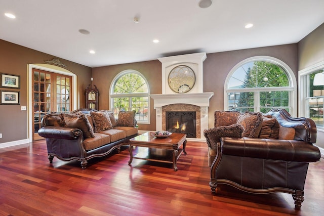 living room with a fireplace and dark hardwood / wood-style flooring