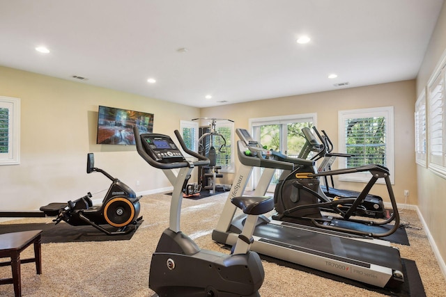 8615 Kelzer Pond Dr, Victoria, MN 55386 - exercise room featuring baseboards, recessed lighting, and plenty of natural light