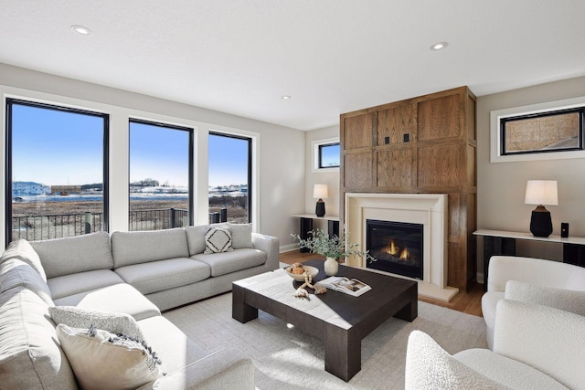 living room with light hardwood / wood-style flooring