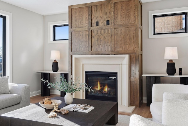 living room featuring light hardwood / wood-style floors